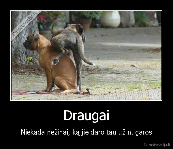 Draugai