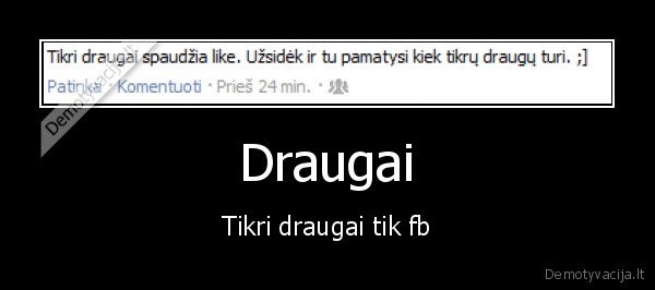 fb,draugai