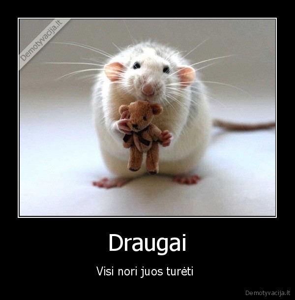 draugai,draugyste,pelyte