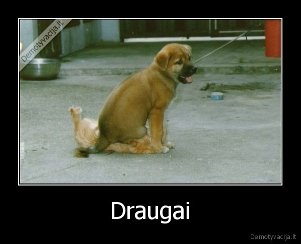 Draugai