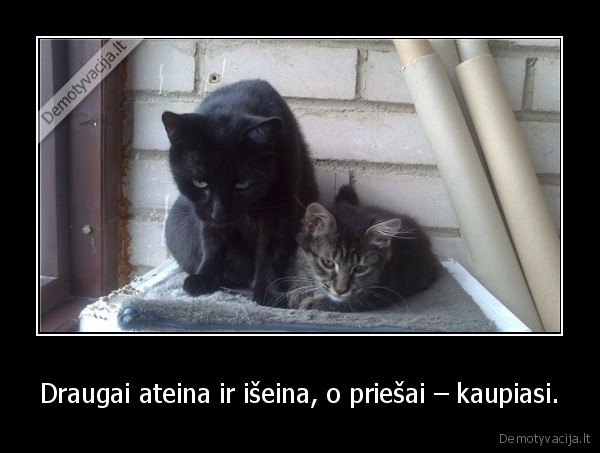 Draugai ateina ir išeina, o priešai – kaupiasi.