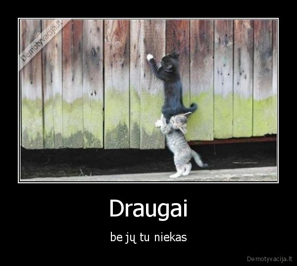 Draugai