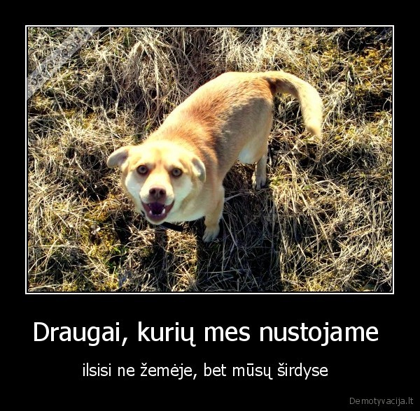 draugai,geriausias, dragas