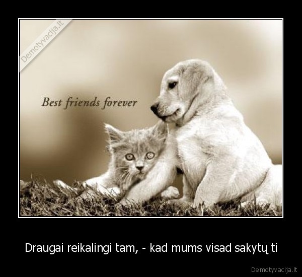 Draugai reikalingi tam, - kad mums visad sakytų ti