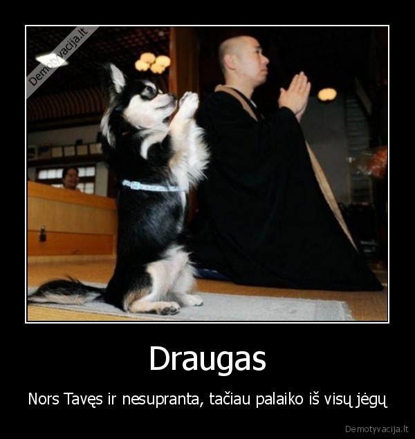Draugas