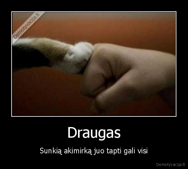 draugas, suo, akimirka