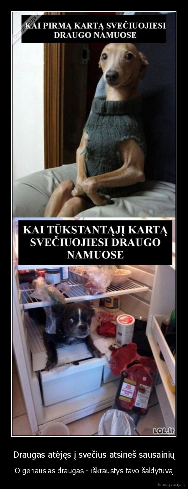 draugyste,geriausias, draugas