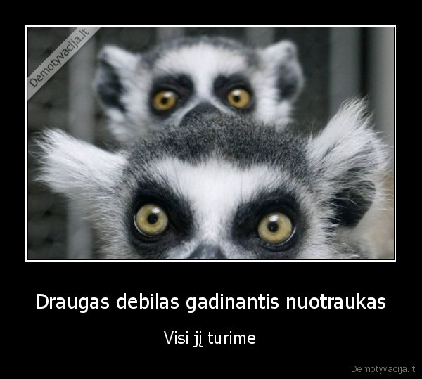 Draugas debilas gadinantis nuotraukas