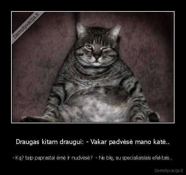 Draugas kitam draugui: - Vakar padvėsė mano katė..