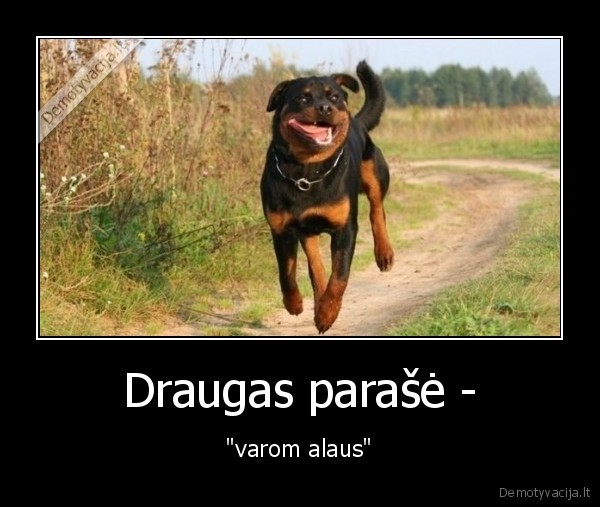 draugai,parase,alaus