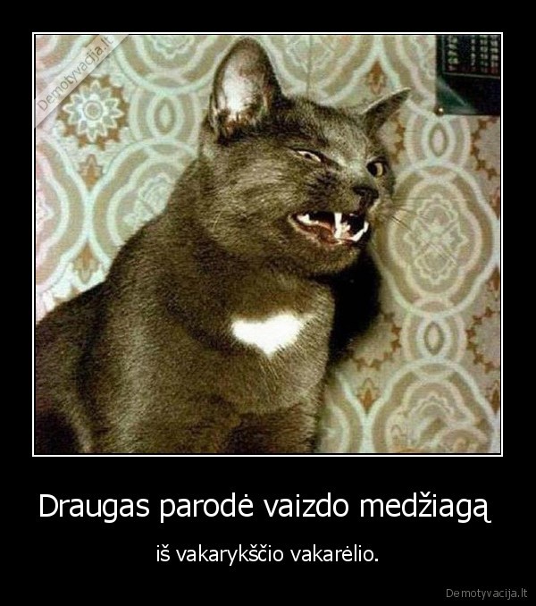 Draugas parodė vaizdo medžiagą 