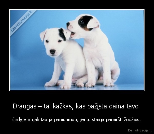 Draugas – tai kažkas, kas pažįsta daina tavo 