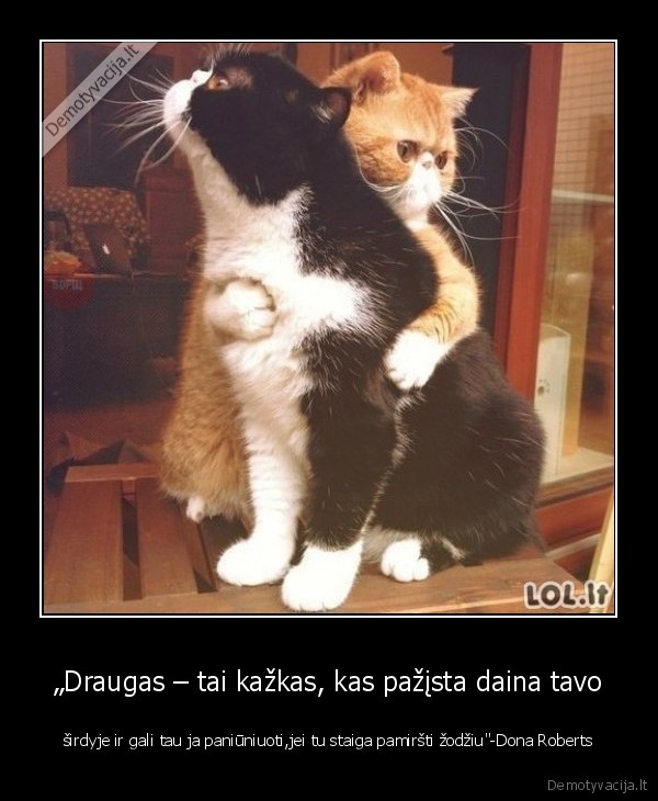 „Draugas – tai kažkas, kas pažįsta daina tavo