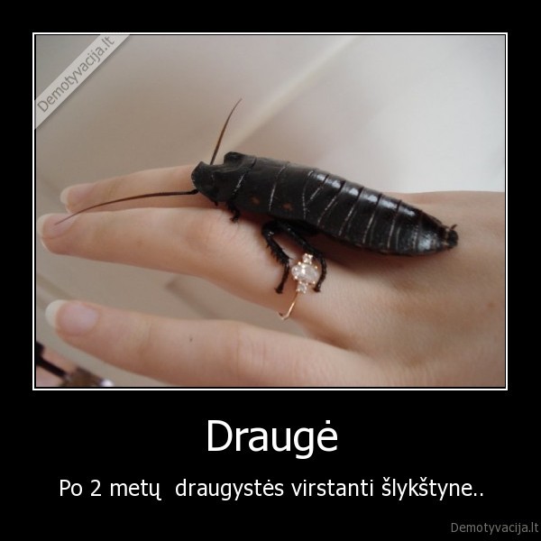 Draugė