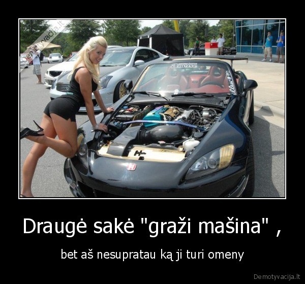 nepsau, joke, skreple, n