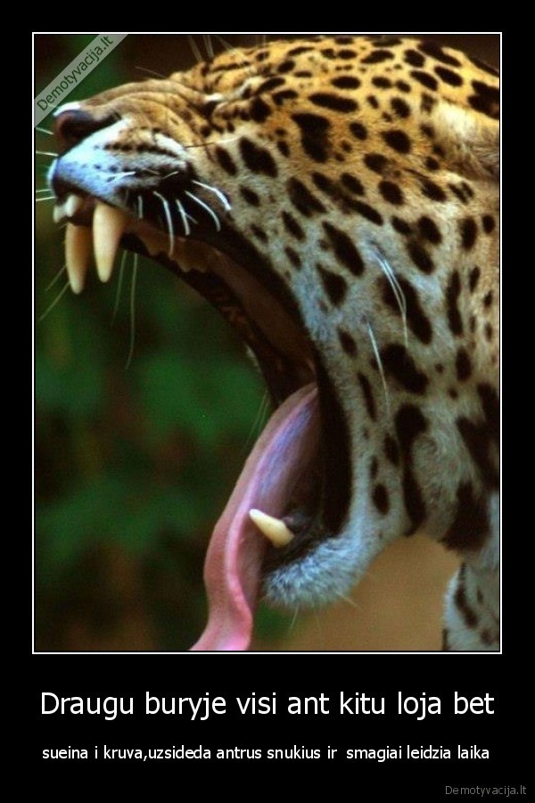 Draugu buryje visi ant kitu loja bet