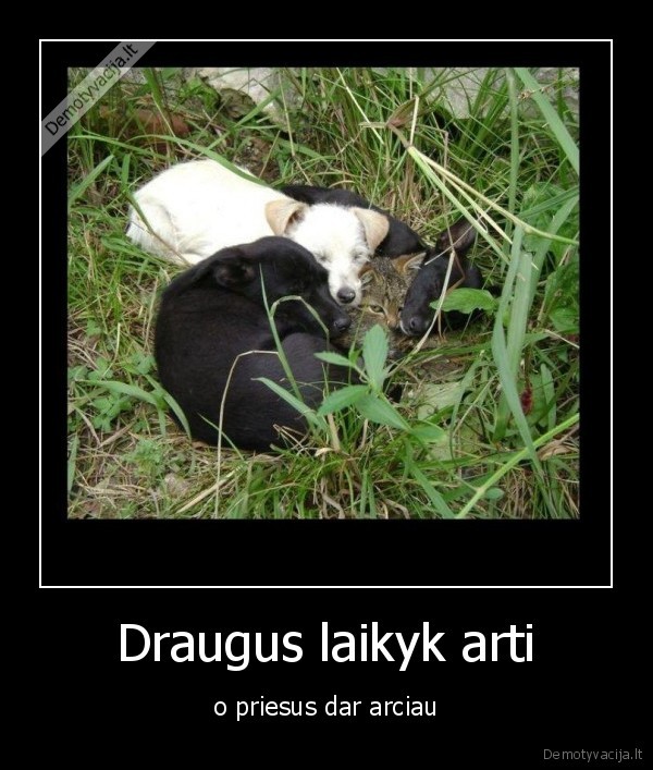 o, kubiliu, kuo, toliau