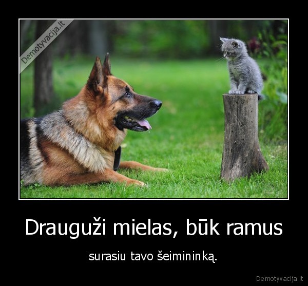 draugas,ramus,seimininkas