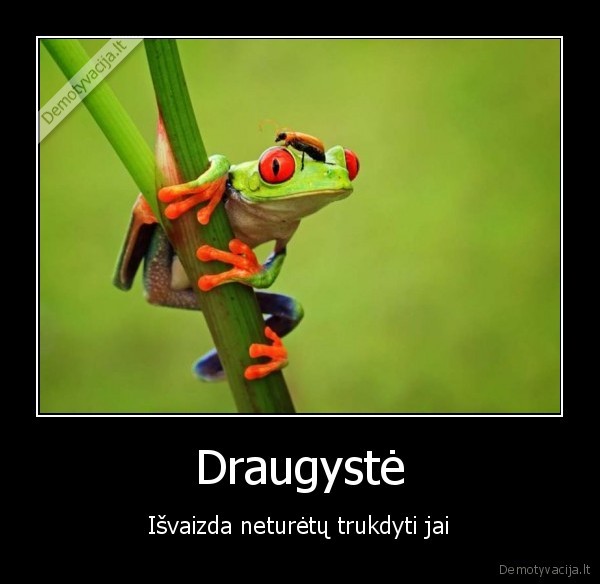 draugyste,isvaizda,nelygumai