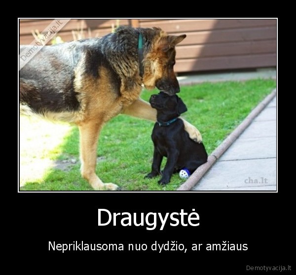 Draugystė