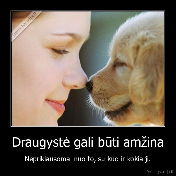 Draugystė gali būti amžina