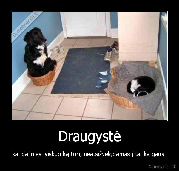 draugyste