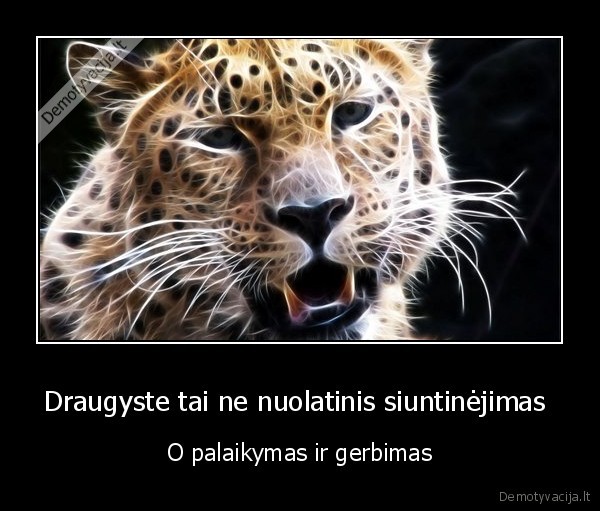 Draugyste tai ne nuolatinis siuntinėjimas 