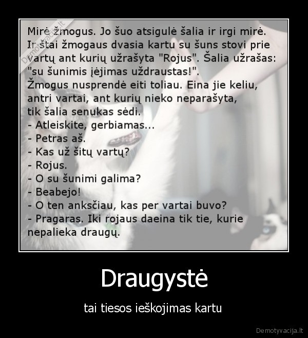 draugyste,vertybe,zmogiskumas,laime