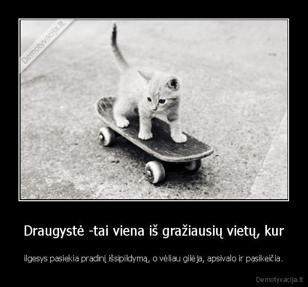 Draugystė -tai viena iš gražiausių vietų, kur