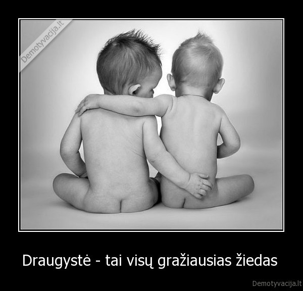 Draugystė - tai visų gražiausias žiedas 