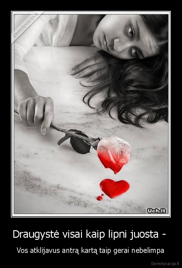 Draugystė visai kaip lipni juosta - 