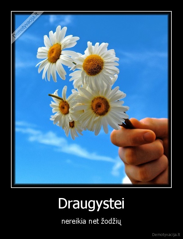 Draugystei