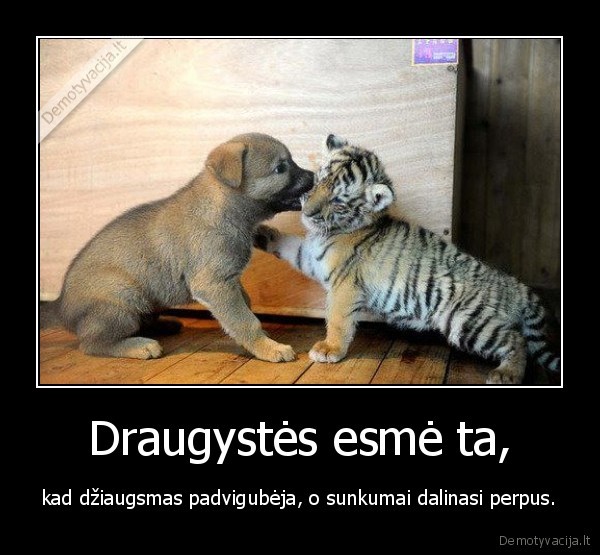 Draugystės esmė ta,