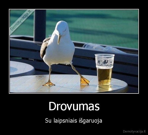 Drovumas