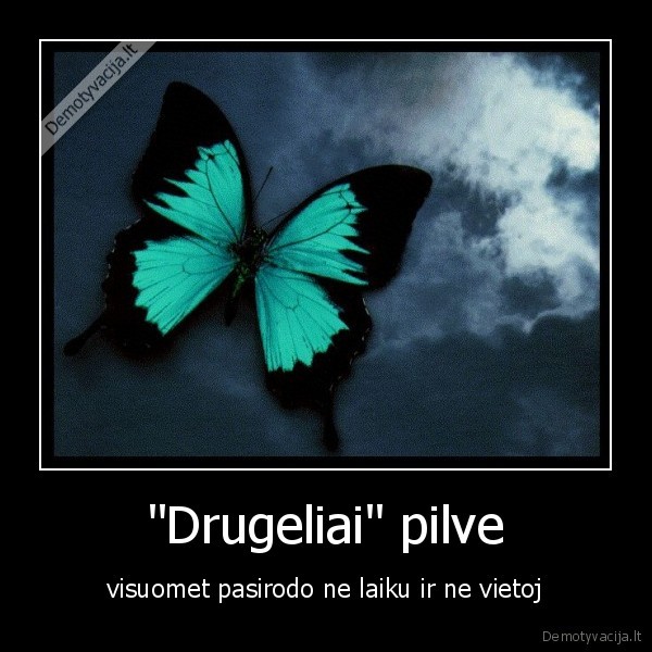 &quot;Drugeliai&quot; pilve