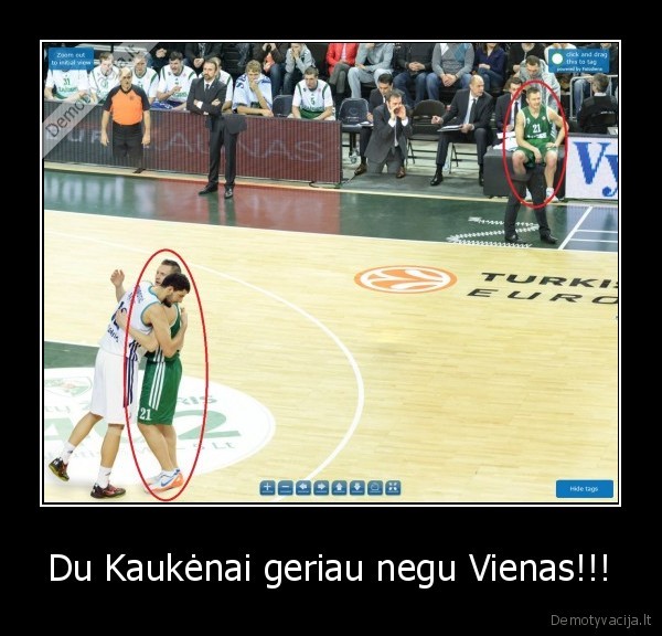 zalgiris, klonavo, kaukena