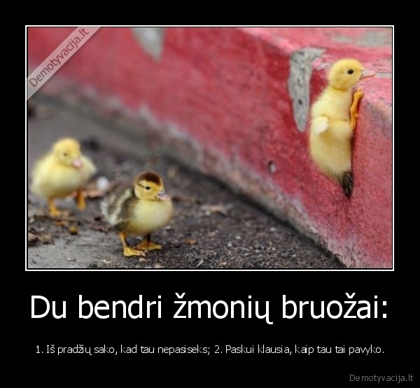 Du bendri žmonių bruožai: