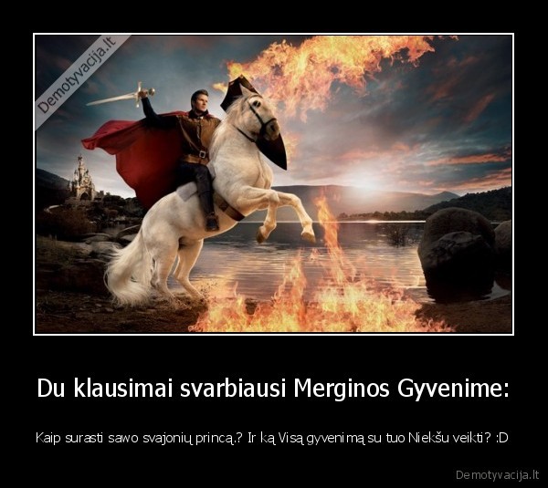 meile,princas,zirgas,istikimybe,laime