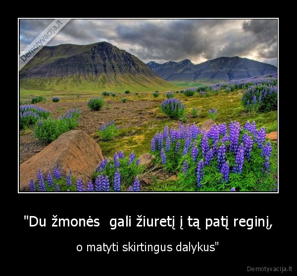 "Du žmonės  gali žiuretį į tą patį reginį,