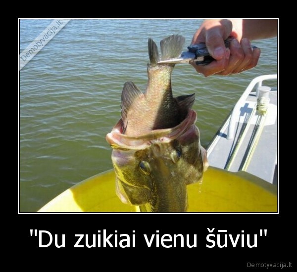 &quot;Du zuikiai vienu šūviu&quot;