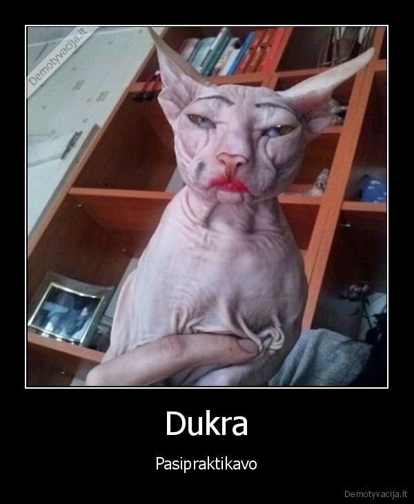 praktika,isdazyra, kate,kates, makiazas