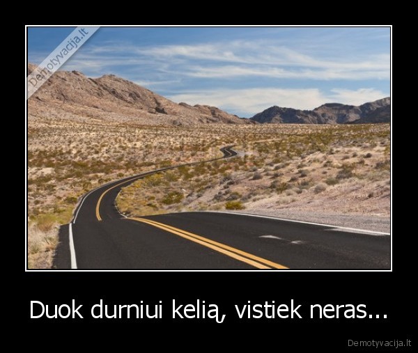 Duok durniui kelią, vistiek neras...