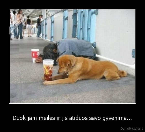 Duok jam meiles ir jis atiduos savo gyvenima...