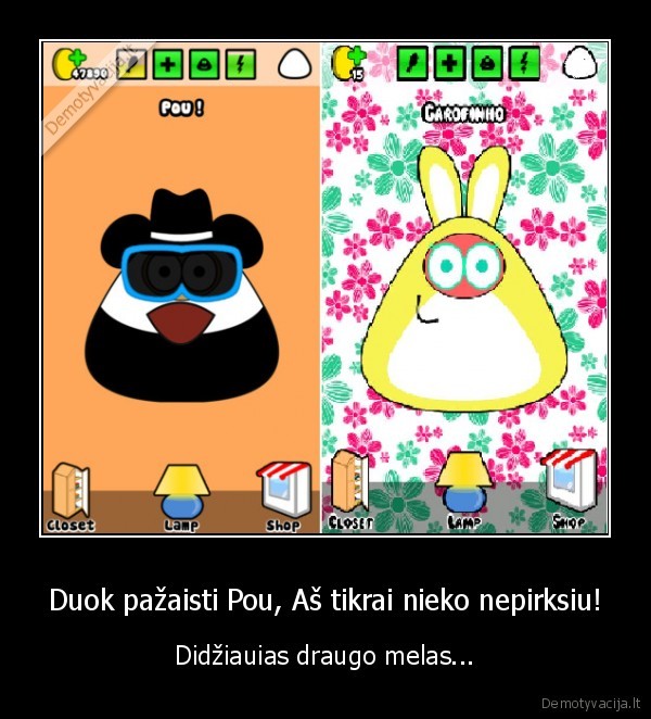 draugai, pou, perka, daug, visko, papai