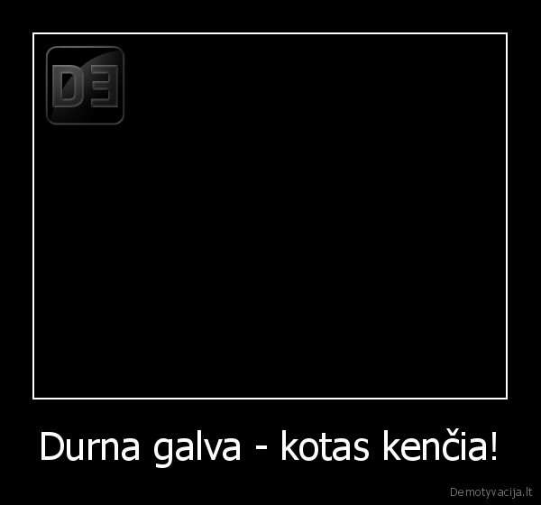Durna galva - kotas kenčia!