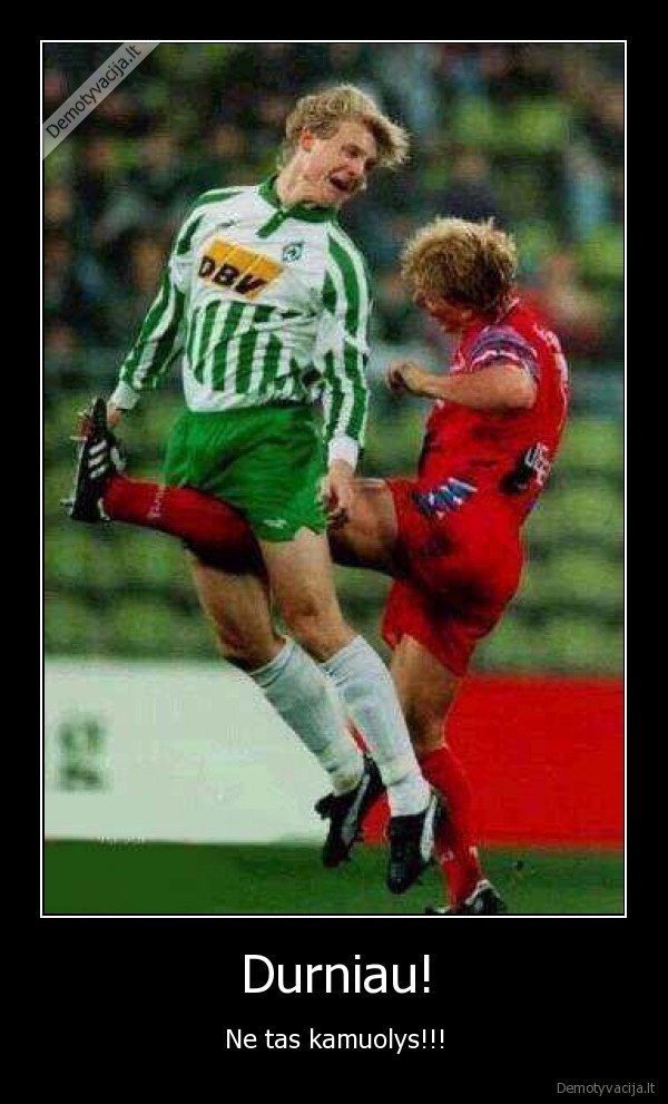 Durniau!