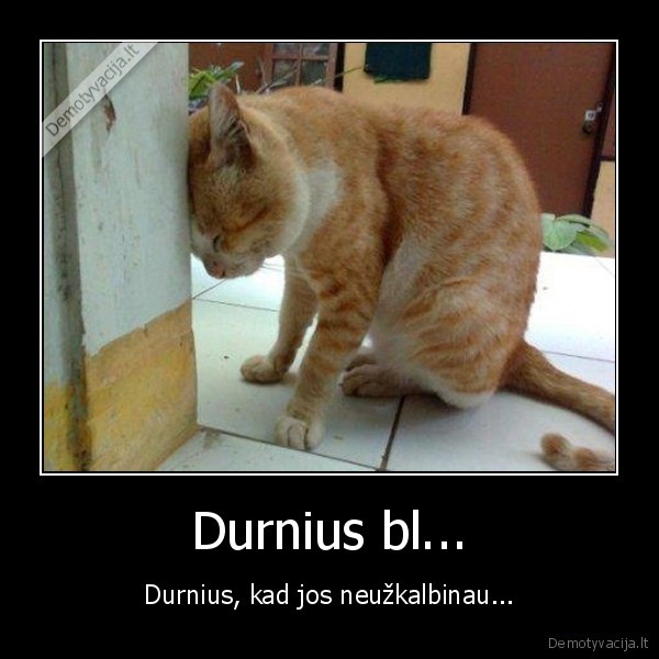 Durnius bl...