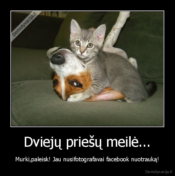 Dviejų priešų meilė...