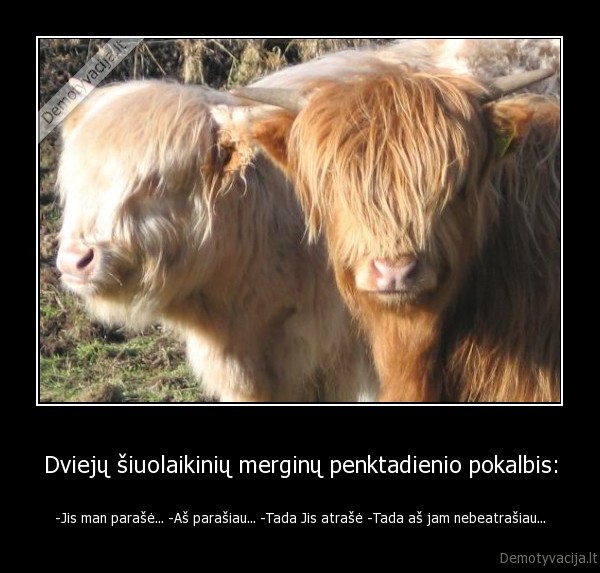 telefoniukas,blondines,merginos,moterys,ziauru,geda,neturi, apie, ka, sneket