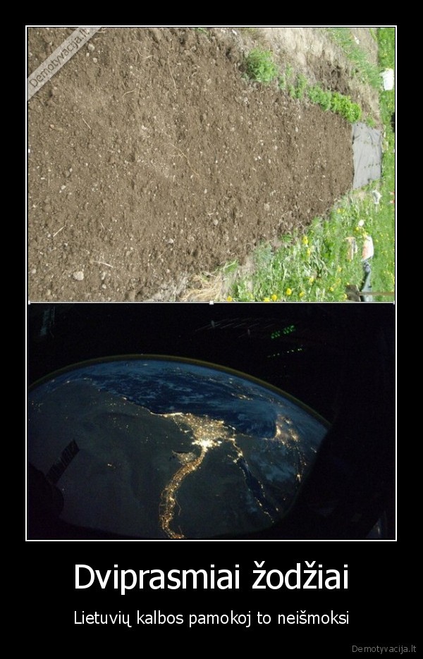 zeme,internaut, rules